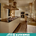 Fashionable&Elegant Style Kitchen Cabinet Furniture (AIS-K974)